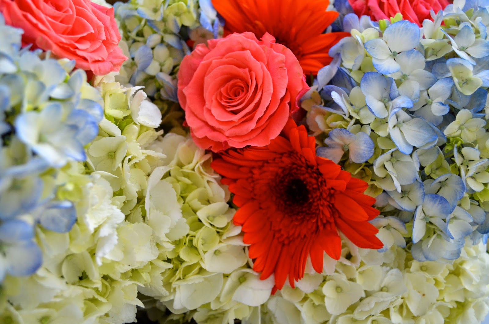 Image From Http 1 Bp Blogspot Com Ctj9svi17hi Up3tzlqs2di