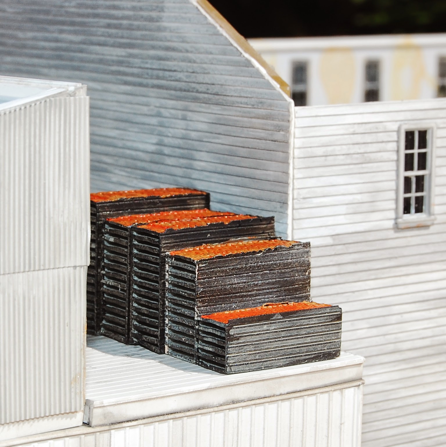 Robert's Vasona Branch Blog 3D Printing Stories Flats of Drying Apricots
