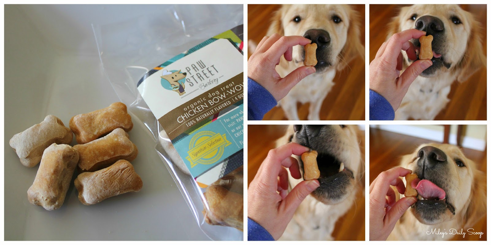 These crunchy, boneshaped treats were right up Bruin's alley. He