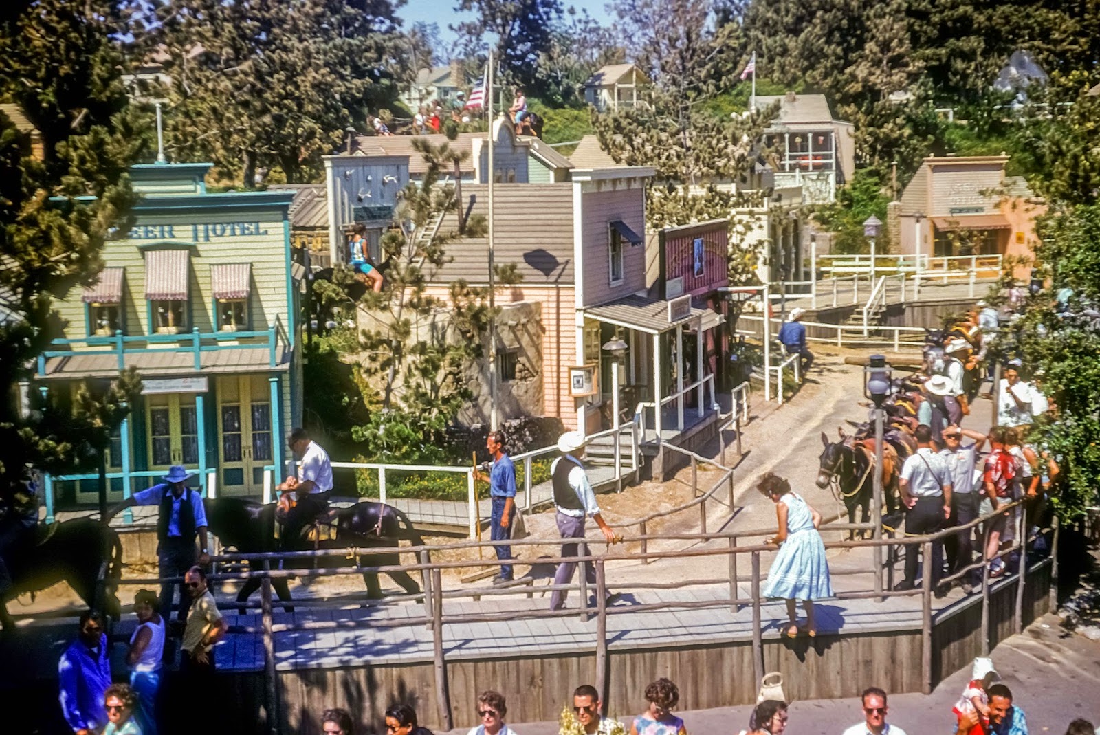 MickeyPhotos Rainbow Ridge Pack Mules from the early 60's