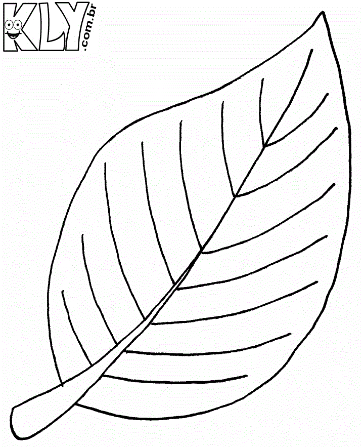 desenho de folhas para colorir desenhos para colorir