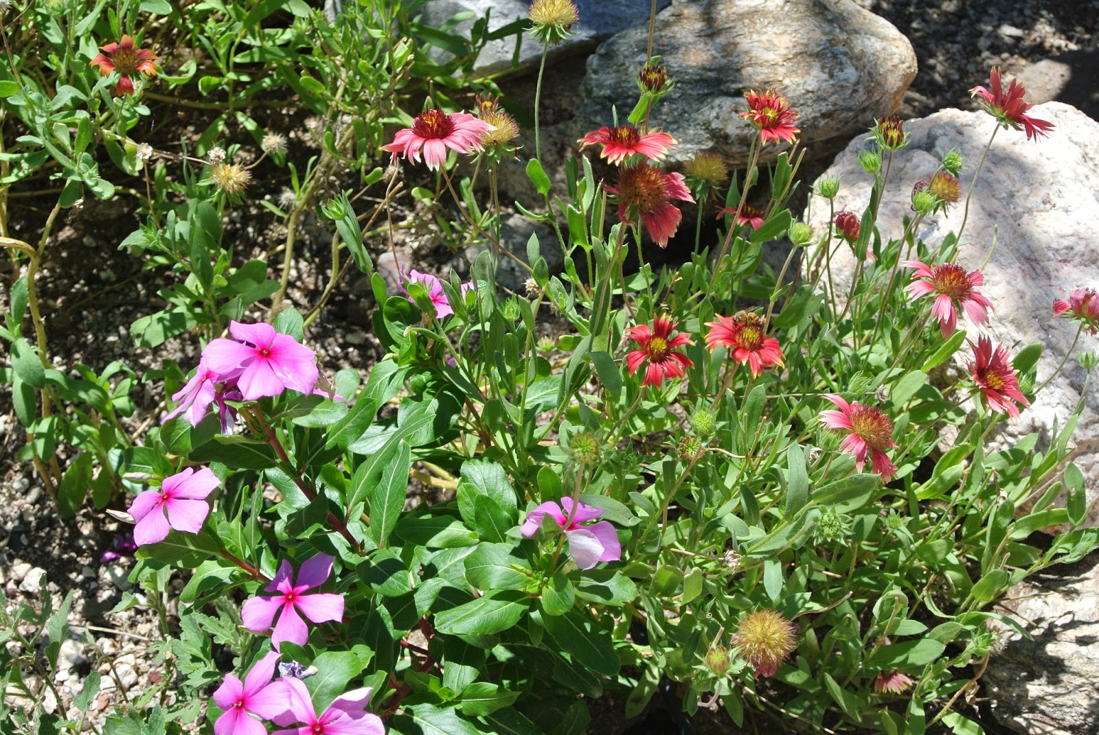 Star4Laughs: September 2013