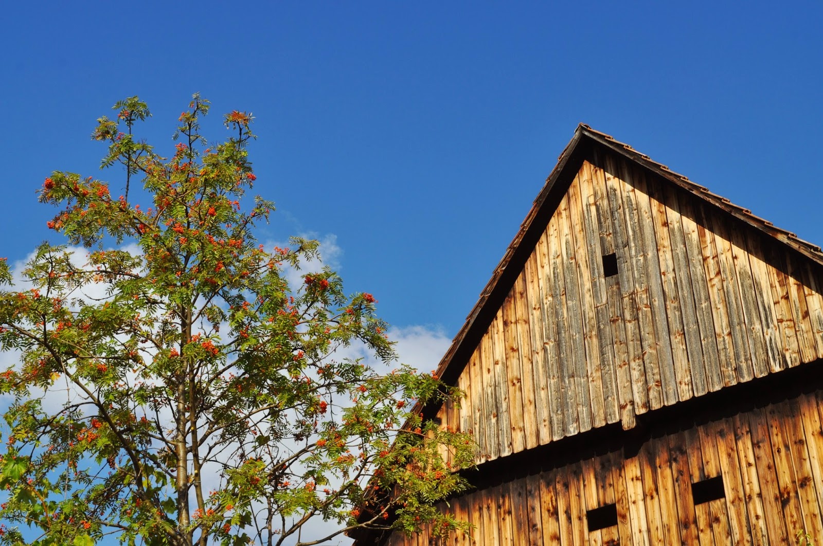 Lichtensteiner Blasmusik 2015