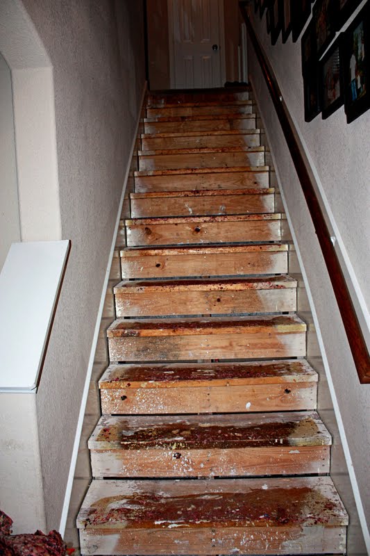 The Hamiltons Ripping the Carpet off Our Stairs