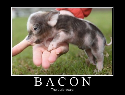 Bacon Jokes2