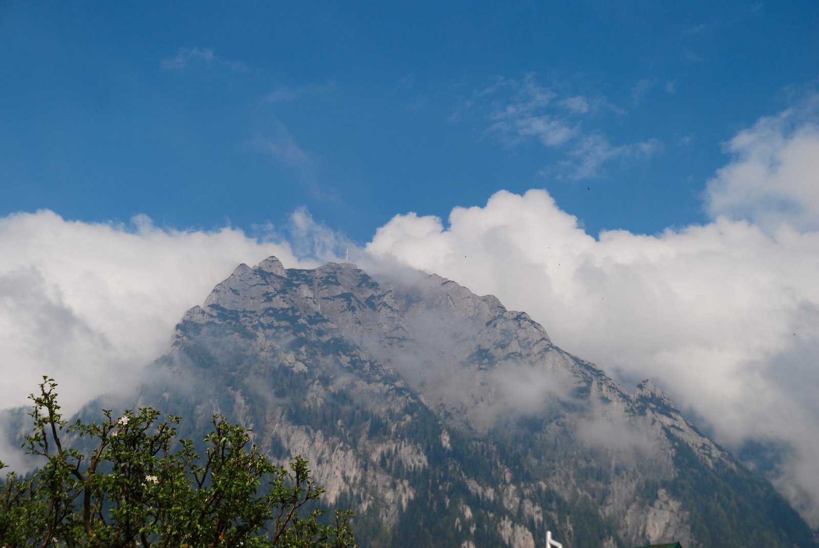 Compunerea Narativa Viii 1