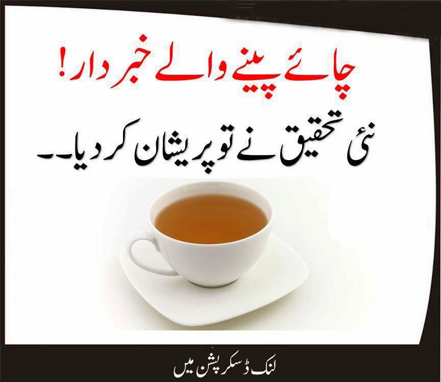 American Research Excessive Tea Dangerous For Teeth and Bones