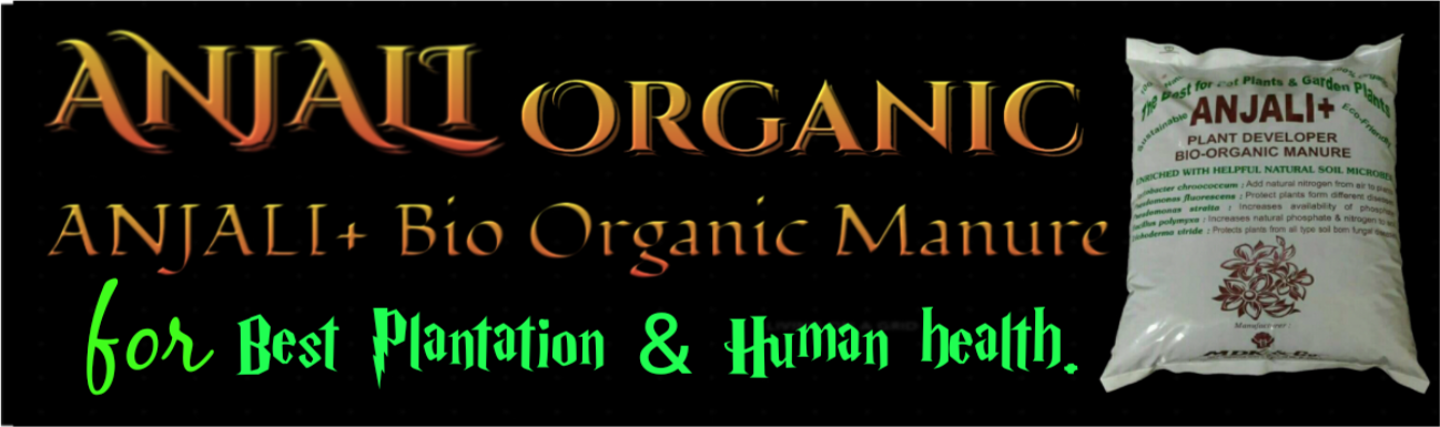 ANJALI Organic