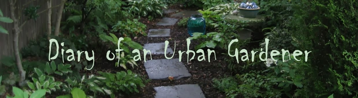 DIARY OF AN URBAN GARDENER