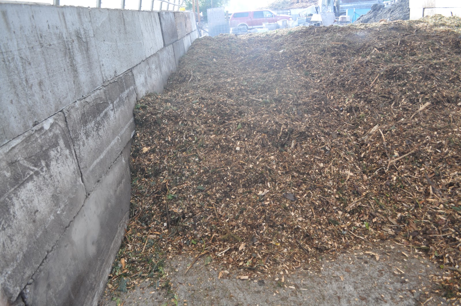 meat Deep litter and pigs