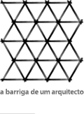 [a barriga de um arquitecto]