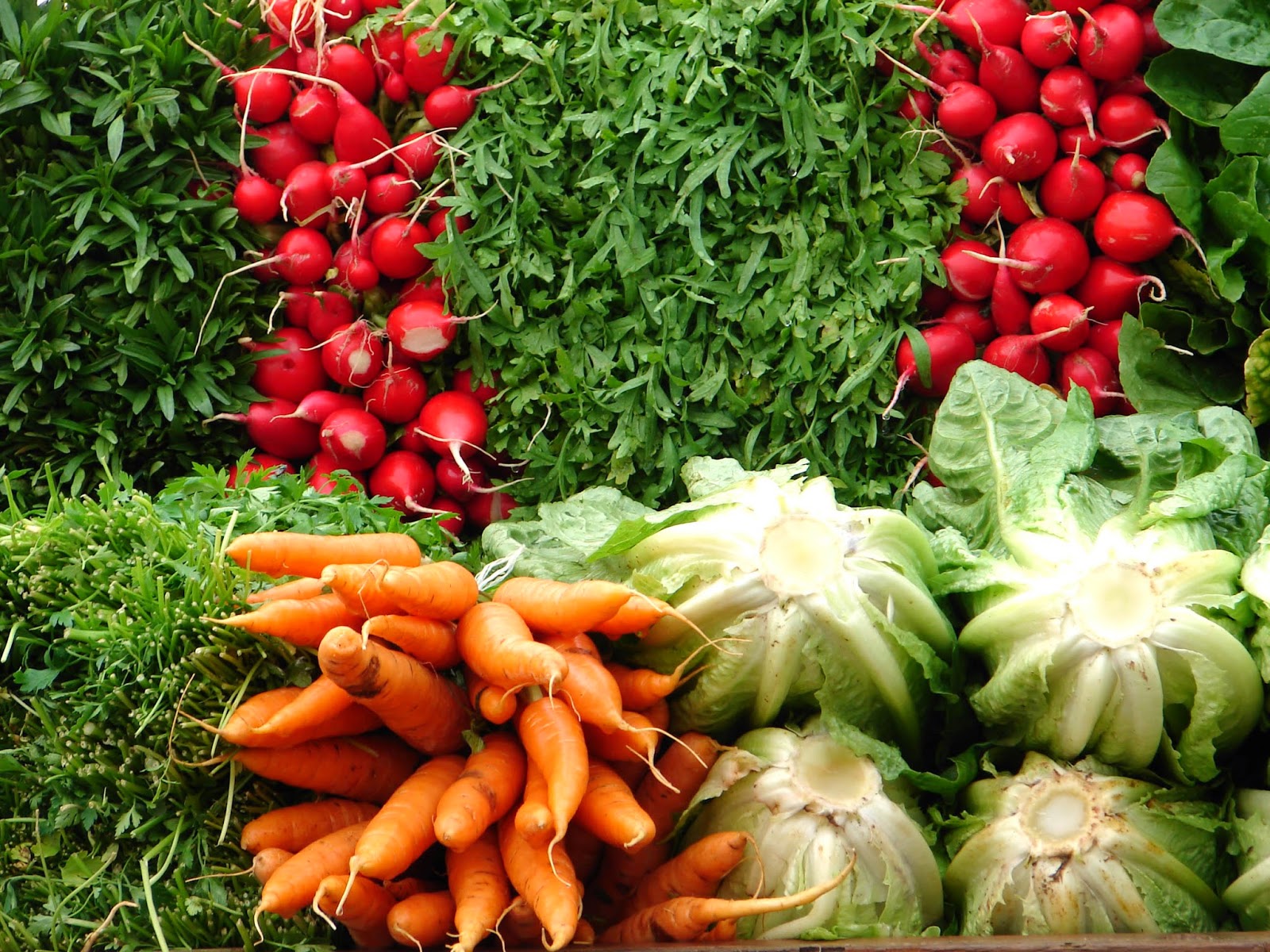 TU SALUD Y LA NUTRICIÓN. LOS VEGETALES