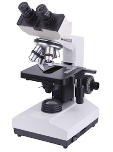 Microscope Binocular