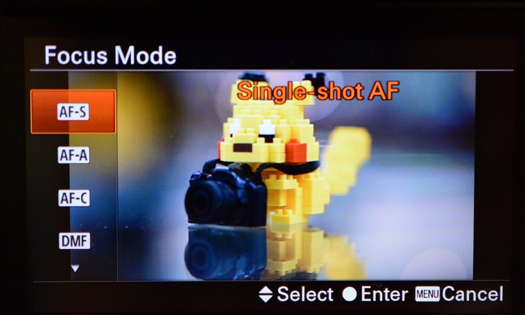 A Thousand Words A Picture Sony A6000 and A5100 Autofocus Guide