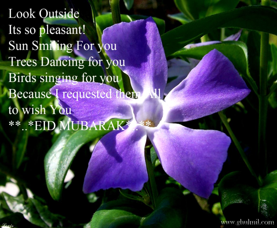 hd wallpapers eid al fitr eid al fitr mubarak 2015 wishes quotes hd hd wallpapers eid al fitr eid al fitr mubarak 2015 wishes quotes hd