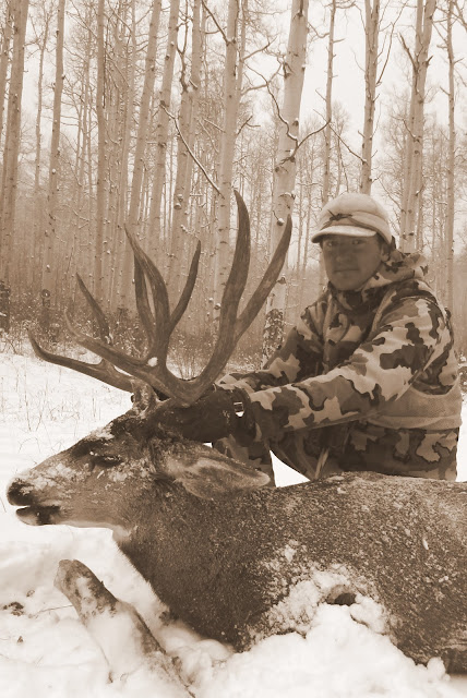 jani+buck+sepia+2+Colorado+Mule+Deer+185+inch+2012+big.jpg