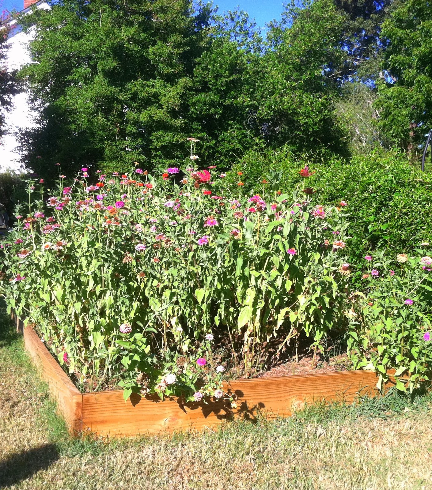 How to Build a Raised Planting Bed