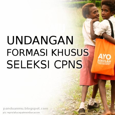 formasi khusus CPNS 2014