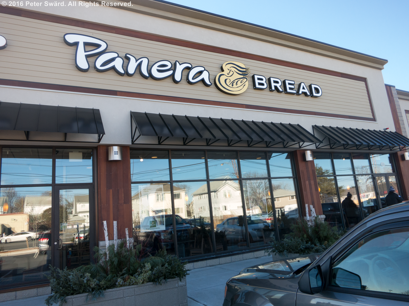 The Daily Lunch Panera Bread Medford
