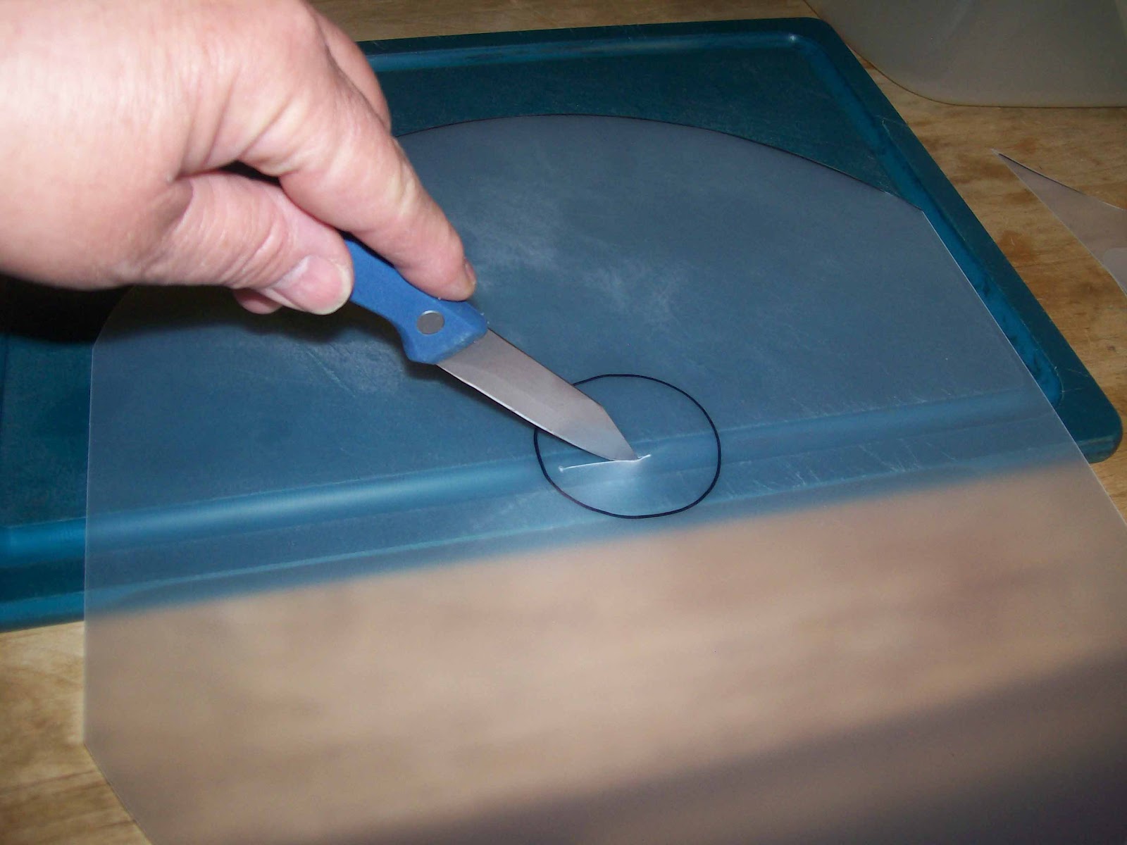 Dehydrating Way Beyond Jerky HomeMade Fruit Leather Trays