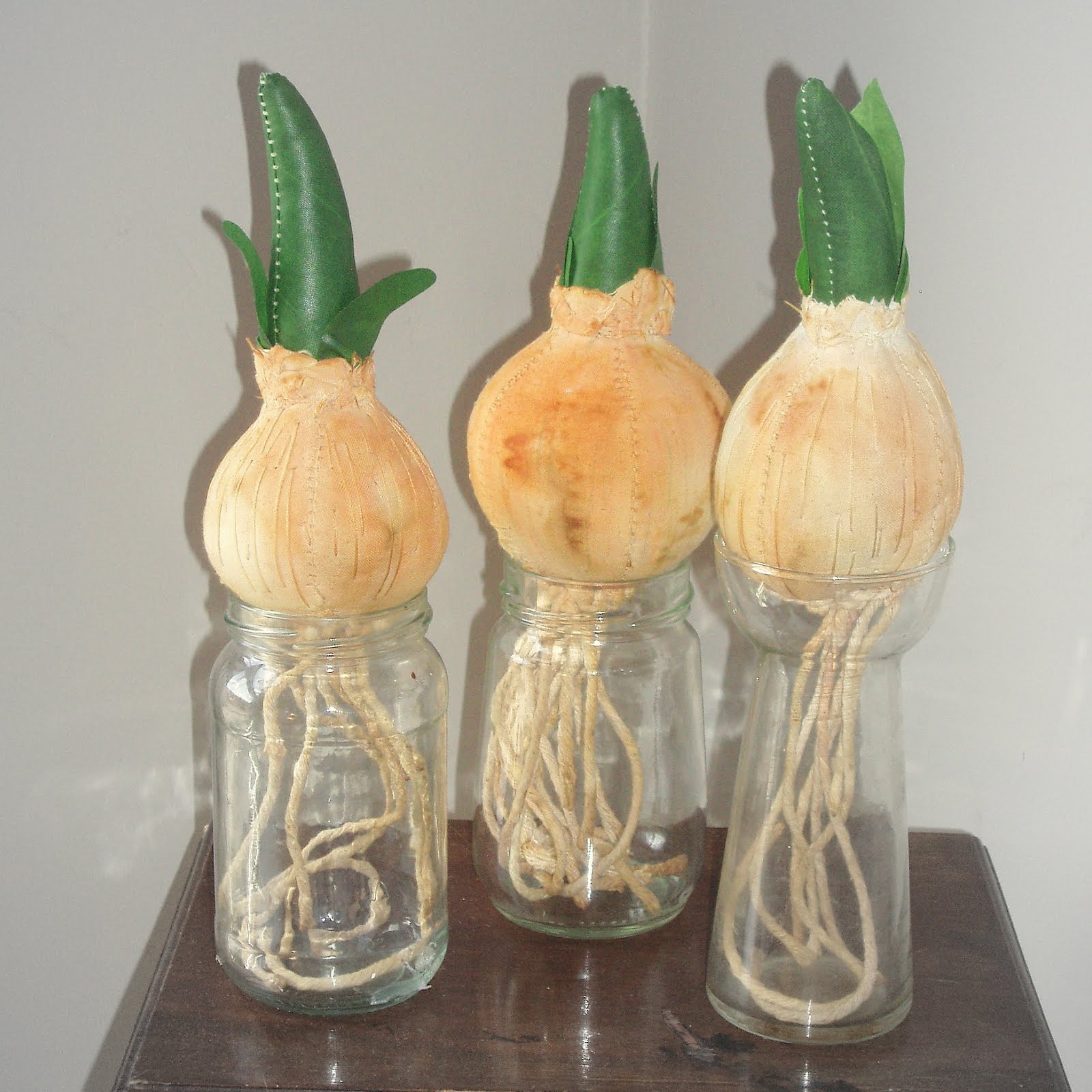 Bulbs.............................