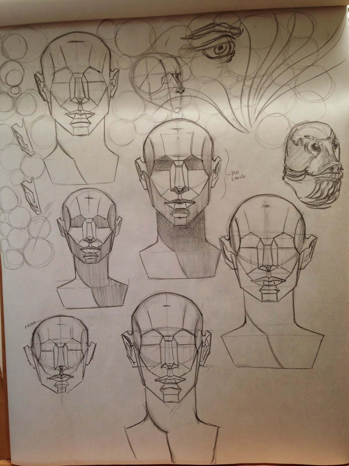 Drawing Madness! Planar head studies and some more sculpts