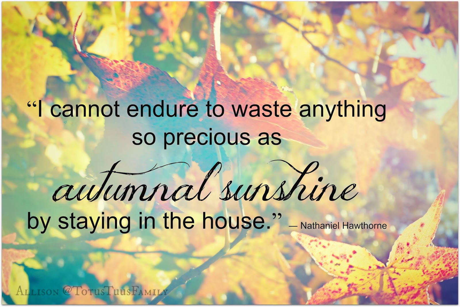 Fall Photos & Quotes Totus Tuus Family & Catholic Homeschool