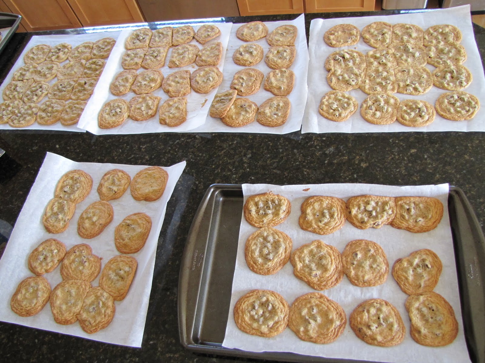 Jules Gluten Free All Purpose Flour Review