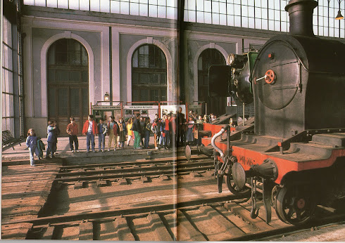 LOCOMOTORAS DE VAPOR