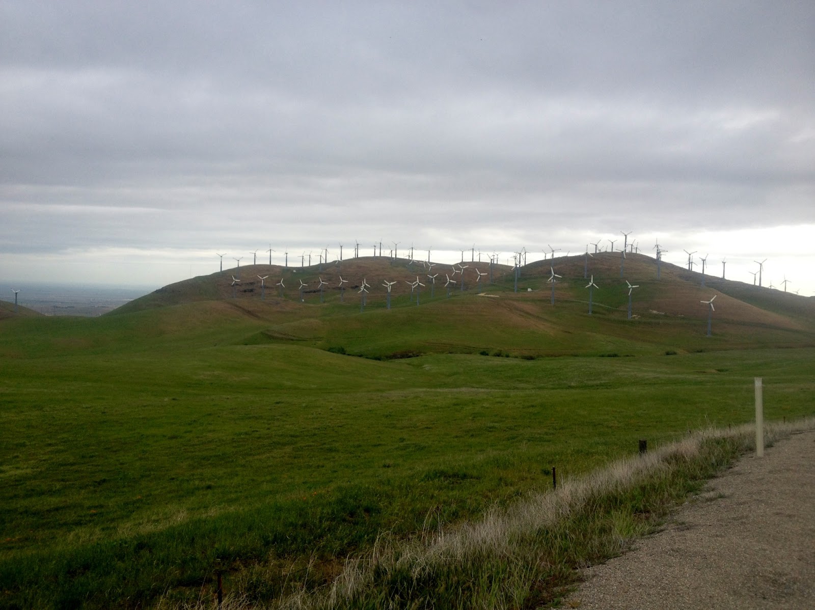 Mom Taxi Julie Enormous Bike Ride Patterson Pass Road and The Altamont Hills