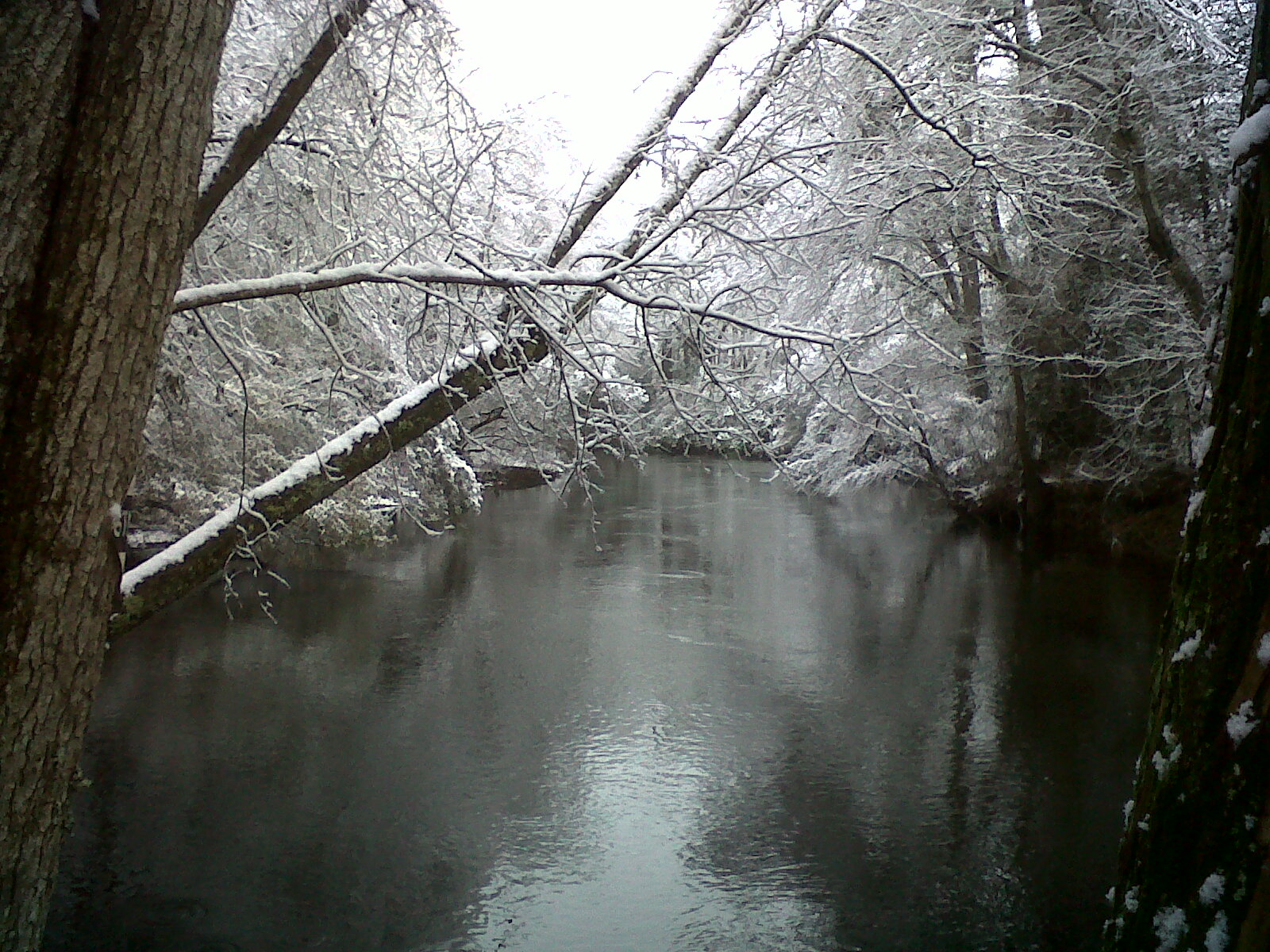 Lumber River State Park Chalk Banks New Fallen Snow