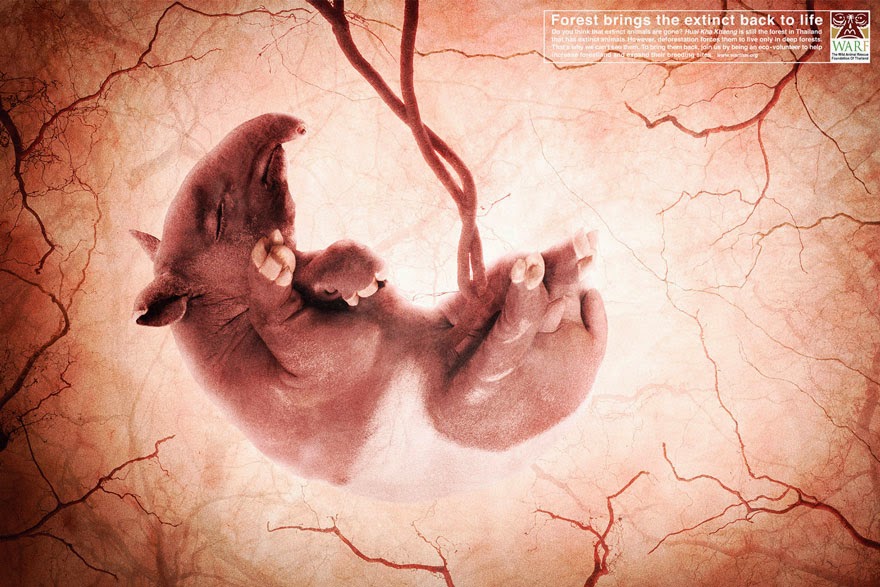 Warf: Forest Brings The Extinct Back To Life- 33 Powerful Animal Ad Campaigns That Tell The Uncomfortable Truth Warf: Forest Brings The Extinct Back To Life- 33 Powerful Animal Ad Campaigns That Tell The Uncomfortable Truth