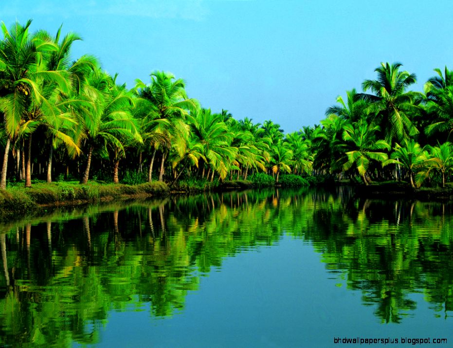 Kerala India Kerala India