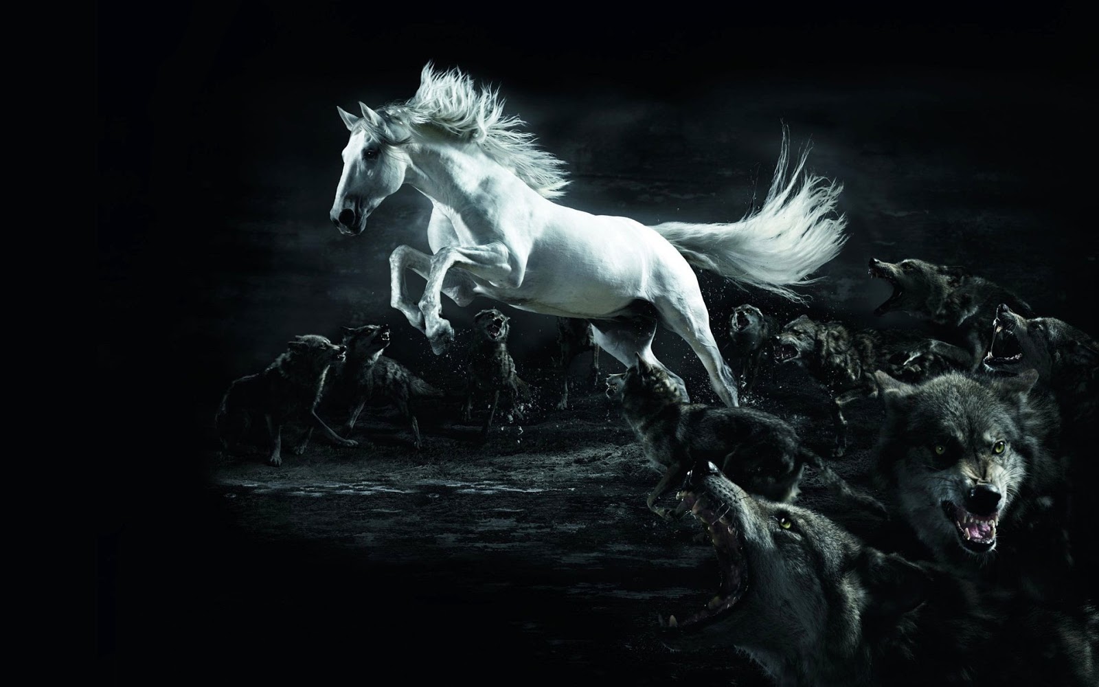 mebeowall: Horse 3D Desktop High Quality wallpapers