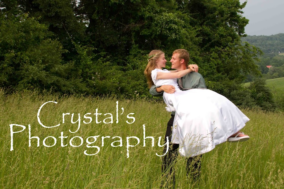 Crystal's Photography