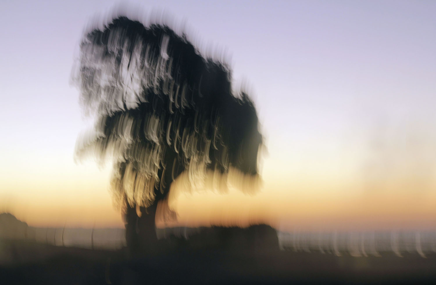 Rotorua Artist Keen's Photography, Mosaics, Paintings & Writing