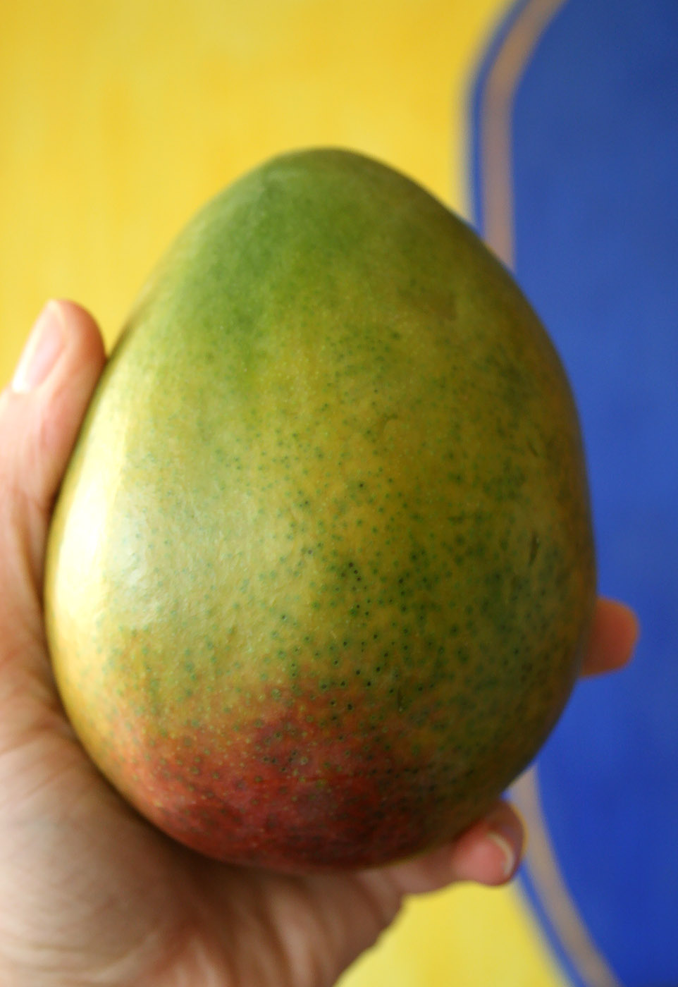 Spoonie Luv The Baby Food Diaries Mango Don't Avoid the Carotenoid