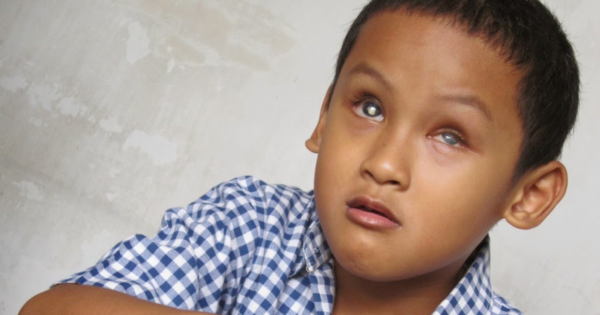 Pengertian anak tuna netra