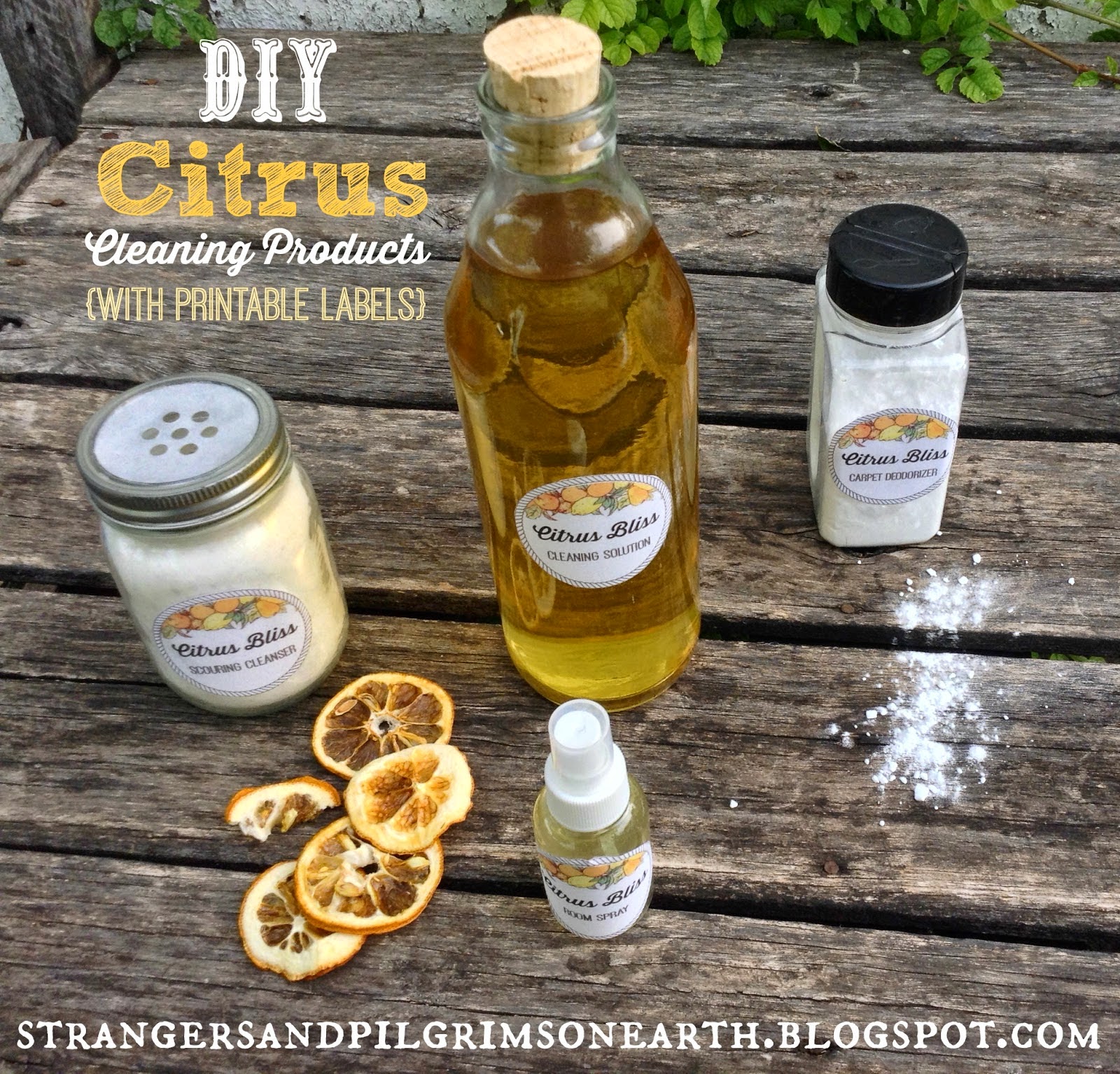 DIY Citrus Cleaning Products