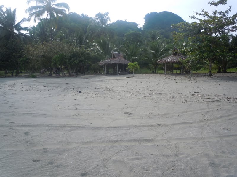 Traveller's Catalogue "Adorable Beach Lots for sale in MAASIN, Quezon