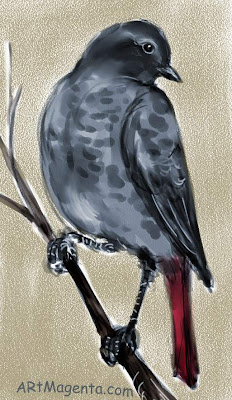 Black redstart, a bird sketch by Artmagenta