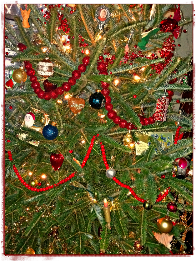 o (what has happened to the) christmas tree? - grace grits and o (what has happened to the) christmas tree? - grace grits and