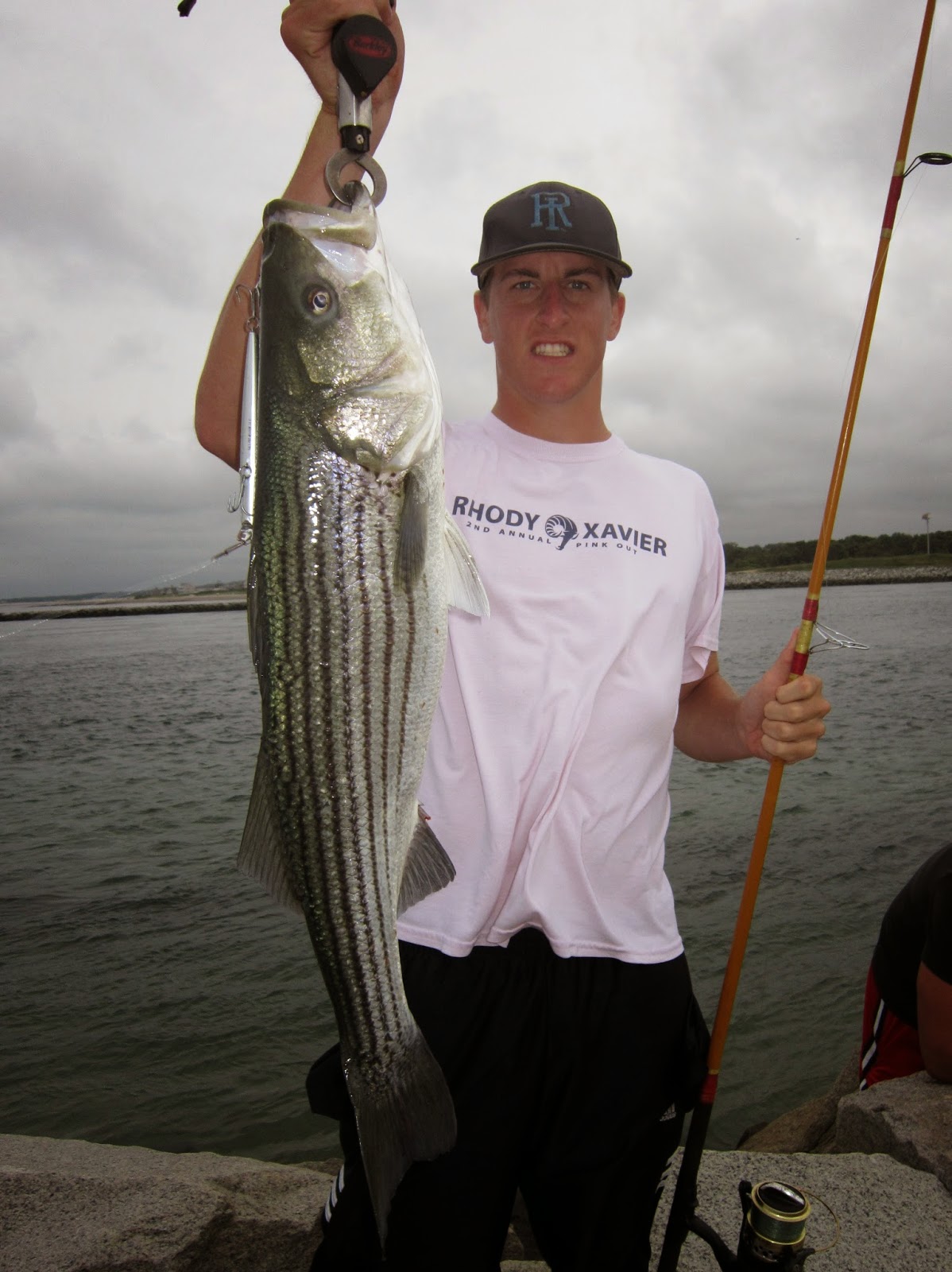 Rhode Island Striped Bass: Cape Cod Canal.Lots of Fish, Lots of Negatives