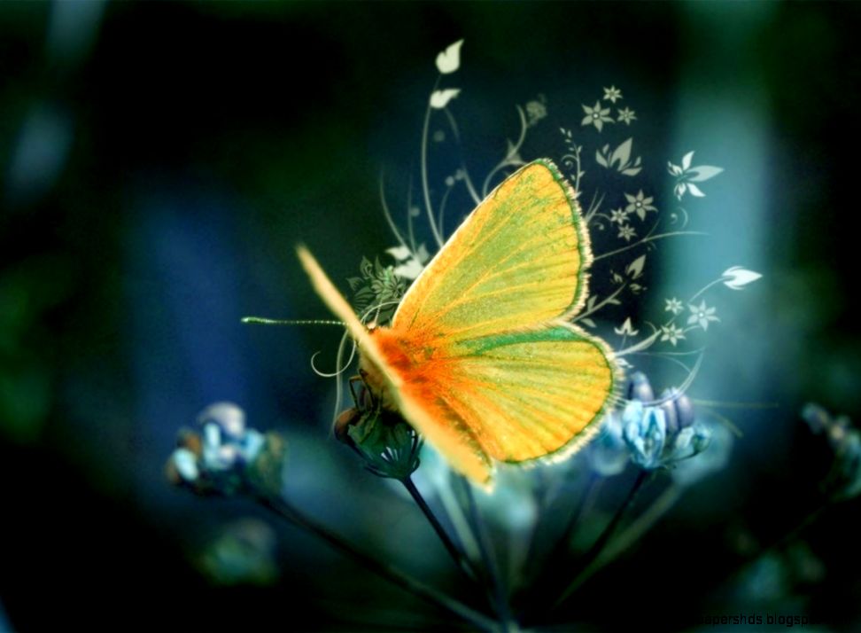 Download free wallpapers here we have a large selection for you Download free wallpapers here we have a large selection for you