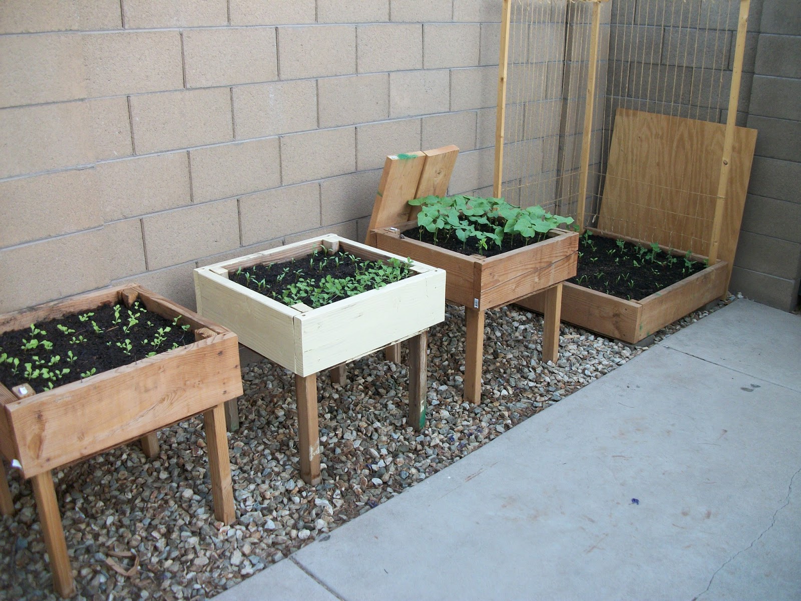 How To Build an Elevated Garden Box