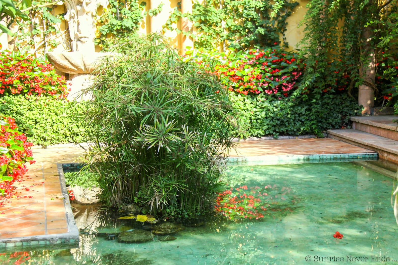 villa ephrussi de rothschild,saint jean cap ferrat, jardin espagnol,terre cuite,tropical,hibiscus,hello riviera