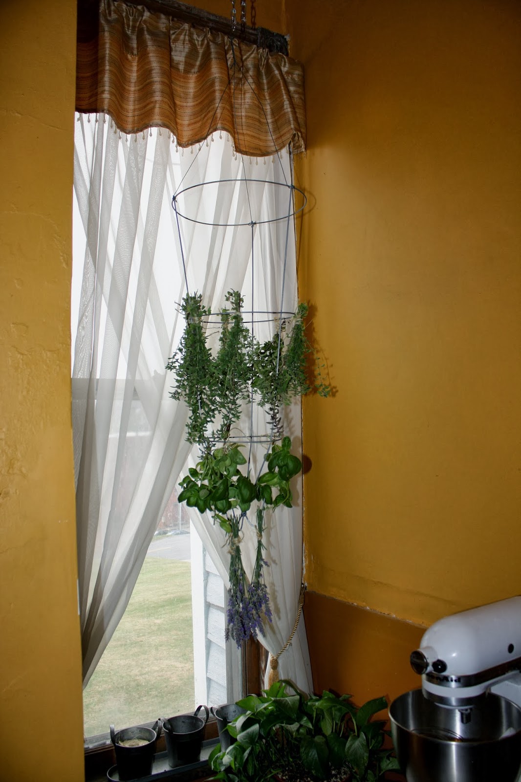 Apertures of My Life Herb Drying Rack (Tomato Cage)