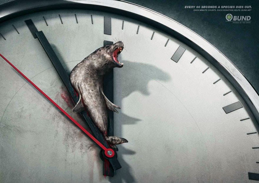 Every 60 Seconds A Species Dies Out. Each Minute Counts - 33 Powerful Animal Ad Campaigns That Tell The Uncomfortable Truth Every 60 Seconds A Species Dies Out. Each Minute Counts - 33 Powerful Animal Ad Campaigns That Tell The Uncomfortable Truth
