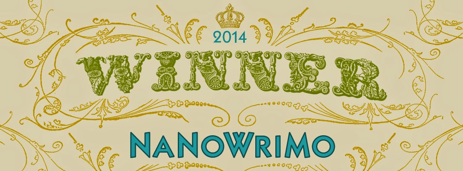 NaNoWriMo 2014