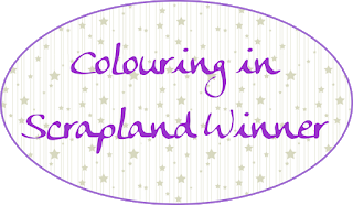 winner colouring in scrapland
